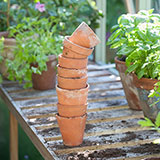  Terracotta 