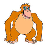 King Louie 