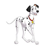  Pongo 