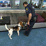  Border Control 