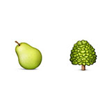  Pear Tree 
