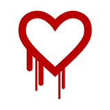  Heartbleed Bug 