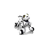  Zoomer 