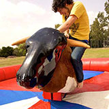  Mechanical Bull 