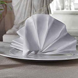  Napkins 