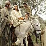  Nativity Story 