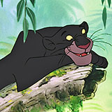  Bagheera 