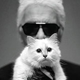  Choupette 