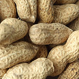  Peanuts 