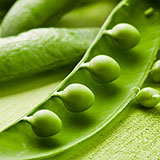  Pod 