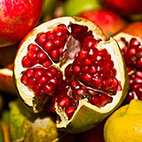  Pomegranate 