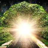  Portal 
