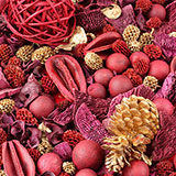  Potpourri 