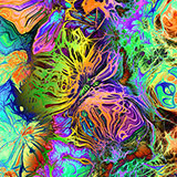  Psychedelic 