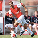  Flamini 