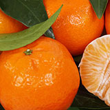  Clementine 