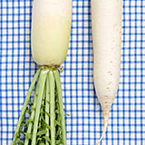  Daikon 