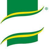  Knorr 
