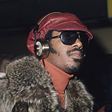  Stevie Wonder 
