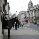  Whitehall 