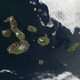  Galapagos 