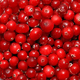  Cranberries 