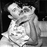  Freddie Mercury 