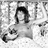  Rod Stewart 