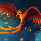  Bird Of Wonder 