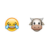  Laughing Cow 