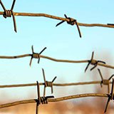  Barbed Wire 