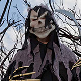  Grim Reaper 