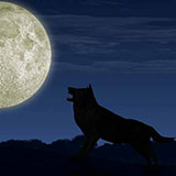  Howl 