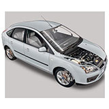  Ford Focus (level 40) 