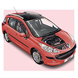  Peugeot 207 