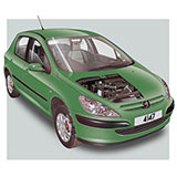  Peugeot 307 