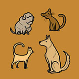  Cats And Dogs 