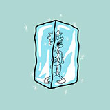  Frozen 