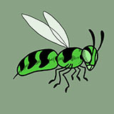 Green Hornet 
