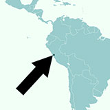  Lima 
