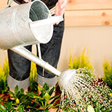  Plant A Garden 