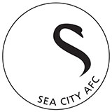  Swansea City 