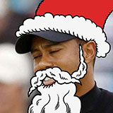  Tiger Woods 