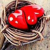  Love Nest 