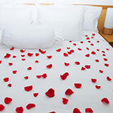  Rose Petals 