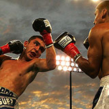  Boxer 
