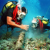  Diver 