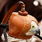  Falconer 