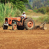  Farmer 