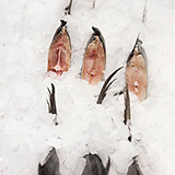  Fishmonger 